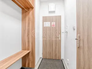 Pronájem bytu 1+kk, Trojanovice, 32 m2