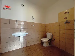 Prodej obchodního prostoru, Libušín, Přemyslova, 46 m2