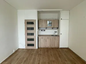 Pronájem bytu 1+kk, Litvínov - Horní Litvínov, Mostecká, 24 m2