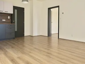 Pronájem bytu 2+kk, Brno, Novodvorská, 51 m2