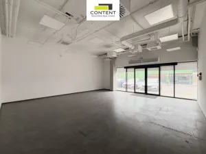 Pronájem výrobních prostor, Zápy, Královická, 1331 m2