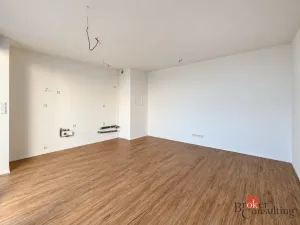Prodej bytu 2+kk, Plzeň - Jižní Předměstí, Železná, 103 m2