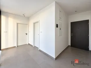 Prodej bytu 2+kk, Plzeň - Jižní Předměstí, Železná, 103 m2