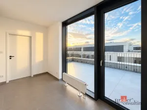 Prodej bytu 2+kk, Plzeň - Jižní Předměstí, Železná, 103 m2