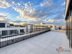 Prodej bytu 2+kk, Plzeň - Jižní Předměstí, Železná, 103 m2