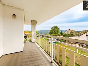 Prodej rodinného domu, Zbečno - Újezd nad Zbečnem, 465 m2