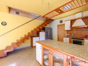 Prodej rodinného domu, Olšany, 240 m2