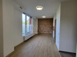 Pronájem bytu 1+kk, Přerov nad Labem, 30 m2
