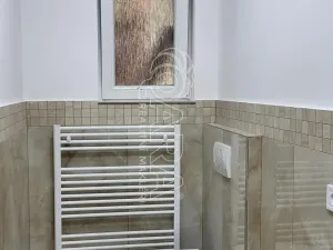 Pronájem bytu 1+kk, Přerov nad Labem, 30 m2