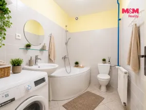 Pronájem bytu 2+kk, České Budějovice - České Budějovice 3, Riegrova, 44 m2
