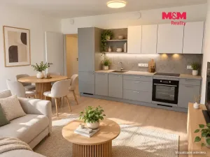 Pronájem bytu 2+kk, Kladno, Engerth, 51 m2