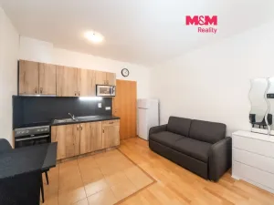 Pronájem bytu 1+kk, Praha - Smíchov, Na Neklance, 31 m2