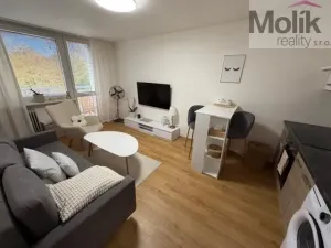 Pronájem bytu 2+kk, Most, Bělehradská, 40 m2