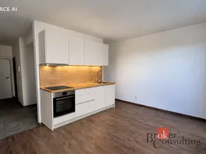 Prodej bytu 1+kk, Plzeň - Bolevec, Krašovská, 36 m2