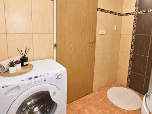 Prodej bytu 1+kk, Brno, Božetěchova, 29 m2