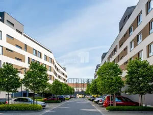Pronájem bytu 1+kk, Kolín - Kolín III, Václavská, 30 m2