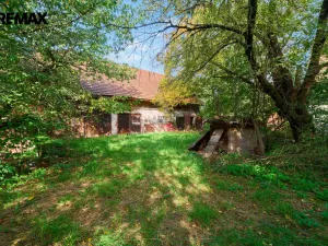 Prodej zemědělské usedlosti, Provodov-Šonov - Kleny, 170 m2