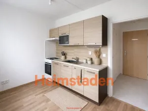 Pronájem bytu 1+kk, Karviná - Nové Město, Nedbalova, 25 m2