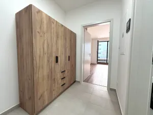 Pronájem bytu 1+kk, Plzeň - Jižní Předměstí, Železná, 35 m2