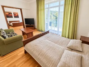 Pronájem bytu 2+1, Karlovy Vary, U Imperiálu, 110 m2