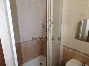 Pronájem skladu, České Budějovice - České Budějovice 1, Hradební, 122 m2