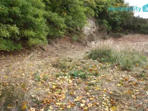 Prodej pozemku pro bydlení, Klatovy, 830 m2
