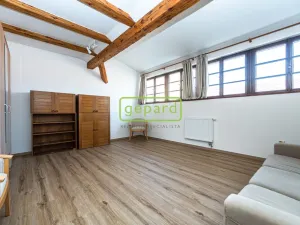 Prodej bytu 5+1, Děčín - Děčín IV-Podmokly, Tržní, 208 m2
