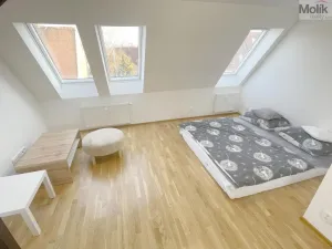 Pronájem bytu 2+kk, Most, Hollarova, 65 m2