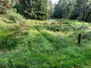 Prodej obchodního prostoru, Bohdalovice - Slubice, 200 m2