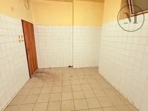 Pronájem skladu, Netolice, Bavorovská, 30 m2