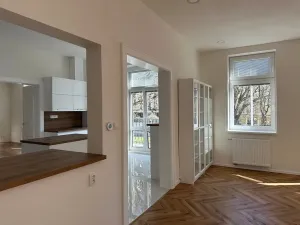 Pronájem bytu 4+1, Děčín, Husovo nám., 156 m2