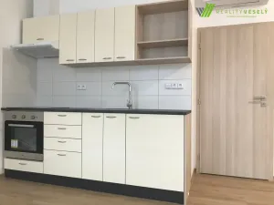 Pronájem bytu 1+kk, Hodonín, 41 m2