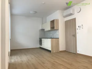 Pronájem bytu 1+kk, Hodonín, 41 m2