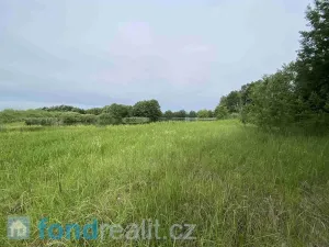 Prodej pozemku, Čejetice - Mladějovice, 1639 m2