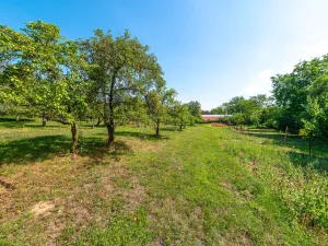 Prodej pozemku pro bydlení, Bařice-Velké Těšany, 1548 m2