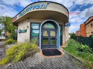 Prodej obchodního prostoru, Karviná, Ruská, 343 m2