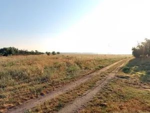 Prodej pole, Mělník, 11396 m2