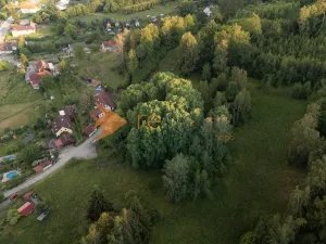 Prodej lesa, Větřní, 3373 m2