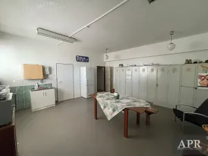 Pronájem skladu, Uherský Brod, U Korečnice, 1200 m2