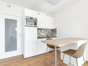 Prodej bytu 1+kk, Praha - Smíchov, Holečkova, 30 m2