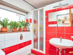 Prodej obchodního prostoru, Písek, U Hřebčince, 430 m2