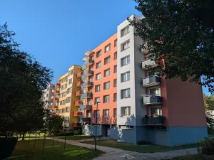 Prodej bytu 2+kk, Písek, K Háječku, 45 m2
