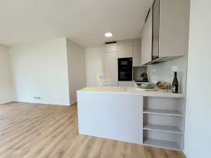 Pronájem bytu 2+kk, Ostrava, Provaznická, 50 m2