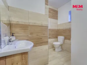 Prodej obchodního prostoru, Jesenice, Žatecká, 453 m2