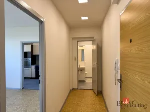 Pronájem bytu 2+1, Hodonín, Jižní, 45 m2