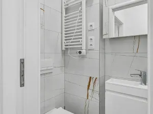 Pronájem bytu 1+kk, Praha - Žižkov, Biskupcova, 25 m2