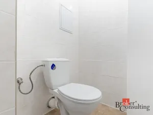 Pronájem bytu 3+kk, Mlékojedy, 68 m2