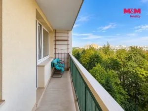 Prodej bytu 1+kk, Pardubice - Polabiny, kpt. Bartoše, 30 m2