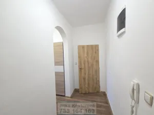 Prodej bytu 1+1, Opava - Předměstí, Zámecký okruh, 41 m2