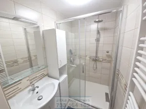 Prodej bytu 1+1, Opava - Předměstí, Zámecký okruh, 41 m2